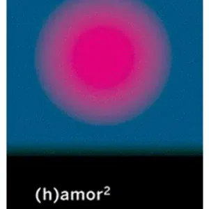 (H)AMOR 2